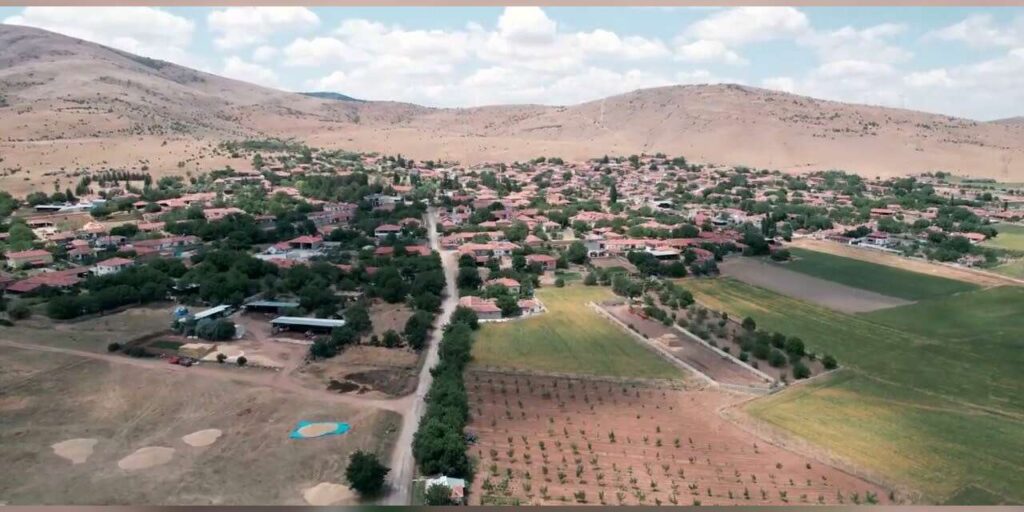 koyunun-sit-alanindan-cikmasi-icin-imza-topluyor