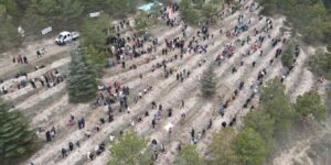Çorum’da yüzlerce fidan toprakla buluştu