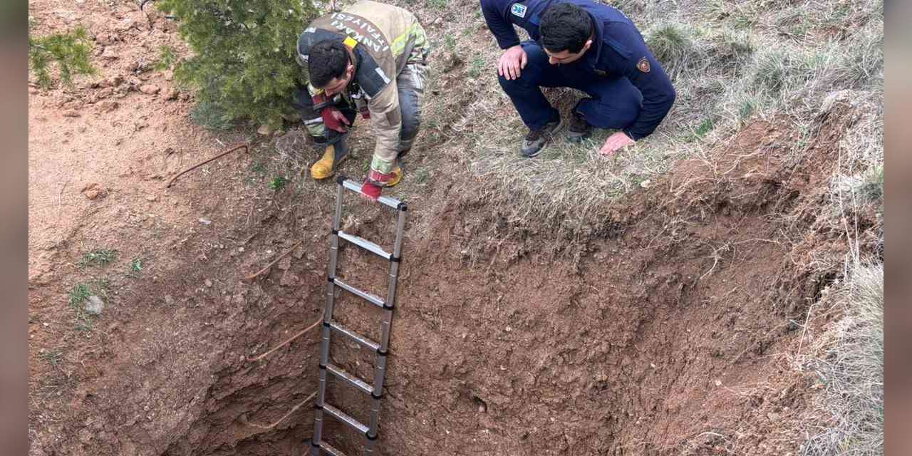 ankara’da-kacak-kazinin-yapildigi-cukura-dusen-kopek-kurtarildi