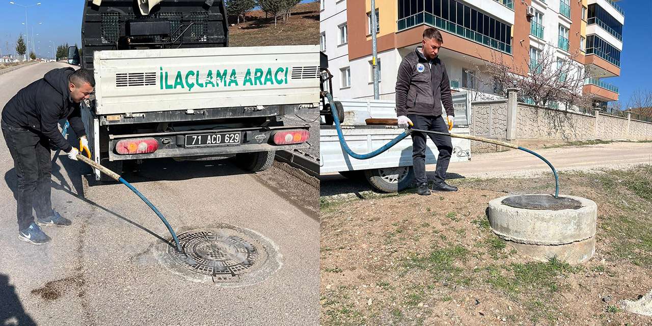 yahsihan’da-larvalar-kaynaginda-kurutuluyor