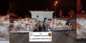 Kırşehir’de 1 ton 200 kilo kaçak kaz eti yakalandı