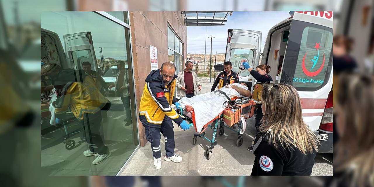 bosanma-asamasindaki-eslerin-kavgasi-kanli-bitti!