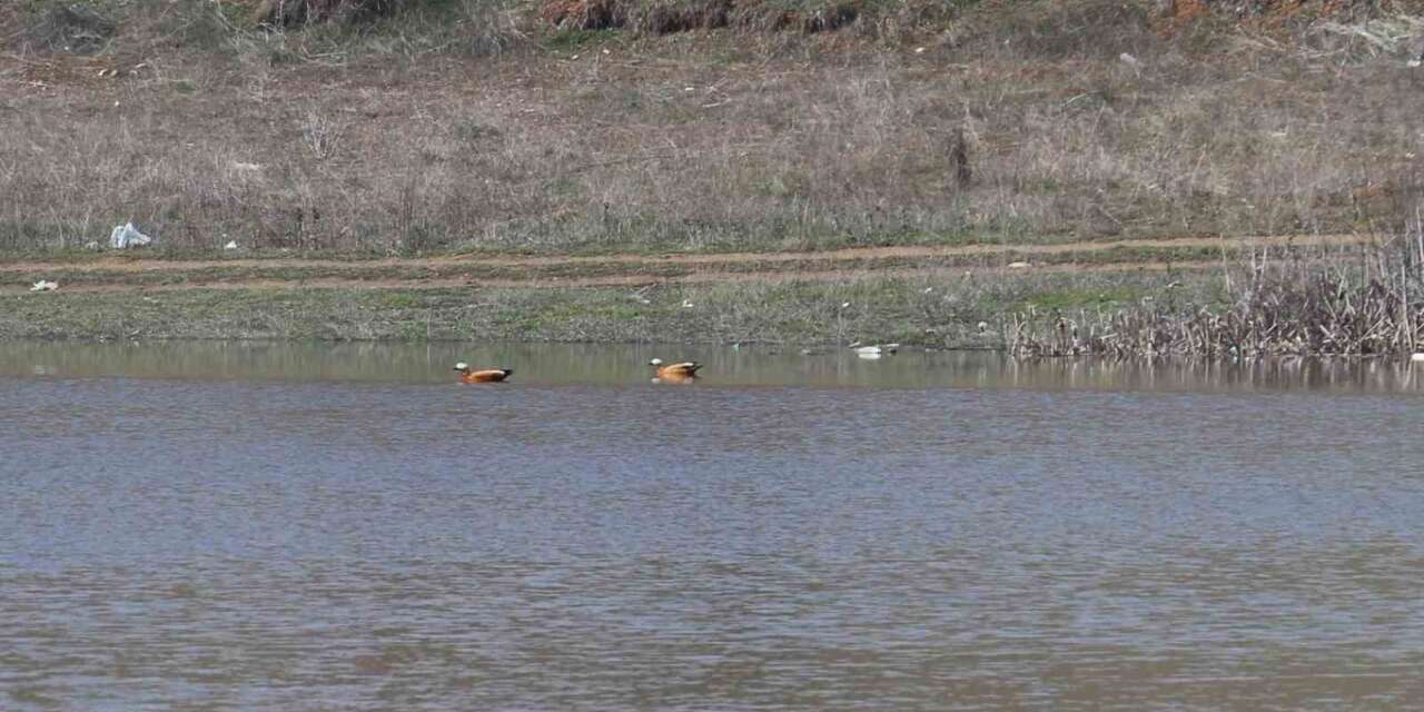 agustos-ayinda-kurumaya-baslayan-kizilca-goleti-yeniden-doldu