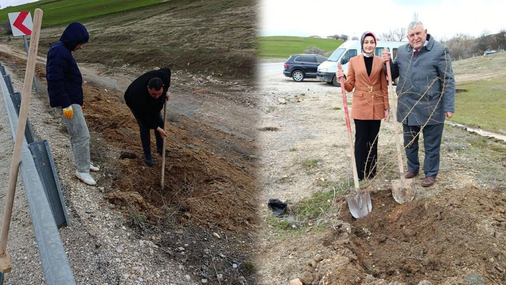 Çelebi’de Ağaçlandırma Projesi Başladı