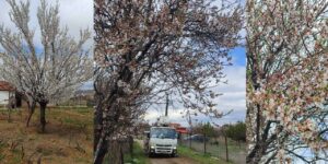 kirikkale’de-ureticinin-‘beyaz-kabus’-nobeti!