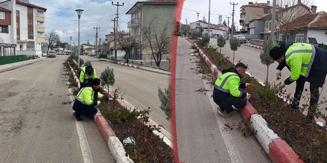 sulakyurt’un-vitrinine-bahar-dokunusu:-guller-budaniyor,-sehir-nefes