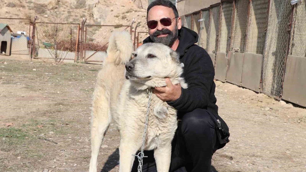 rus-guzele-gonlunu-kaptiran-kangala-kadinlardan-tepki:-‘bizim-erkeklerimiz-boyledir’