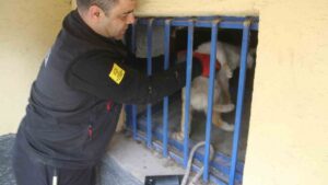 acliktan-bitkin-dusen-kedi-itfaiye-ekiplerince-kurtarildi