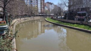 porsuk-cayi-kahverengine-burundu