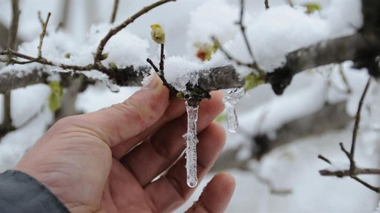 kirikkale-icin-zirai-don-uyarisi