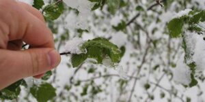 kirikkale’de-ciftciler-dikkat!-hemen-onleminizi-alin