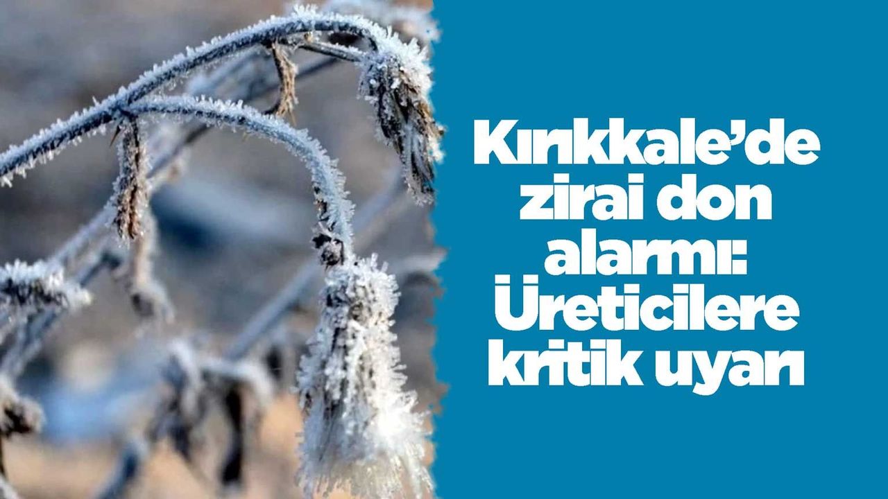 kirikkale’de-zirai-don-alarmi:-ureticilere-kritik-uyari