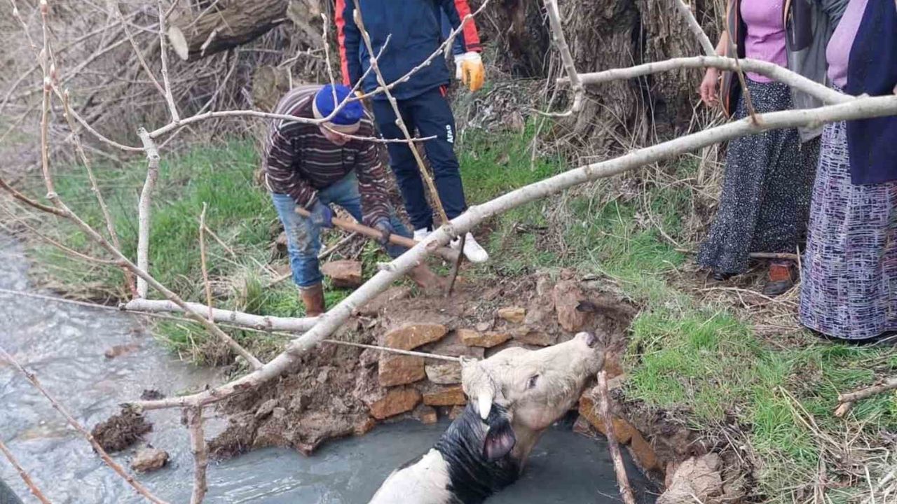 kuyuya-dusen-buyukbas,-afad-ekiplerince-kurtarildi