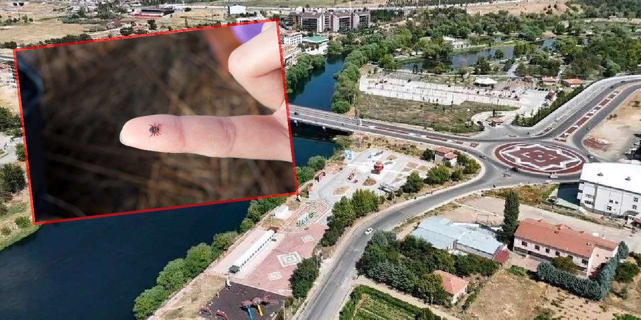 kirikkale’de-yaz-kapida,-riskler-artiyor:-olumcul-risklere-karsi-onleminizi-alin