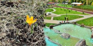 kirikkale’de-doga-uyaniyor:-hafta-sonu-baska,-hafta-ici-bambaska!