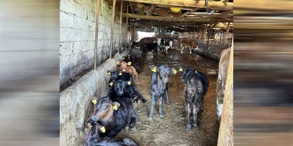 tarim-projeleri-kirikkale’de-sonuc-veriyor