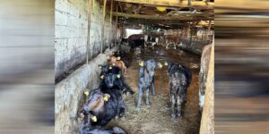 tarim-projeleri-kirikkale’de-sonuc-veriyor