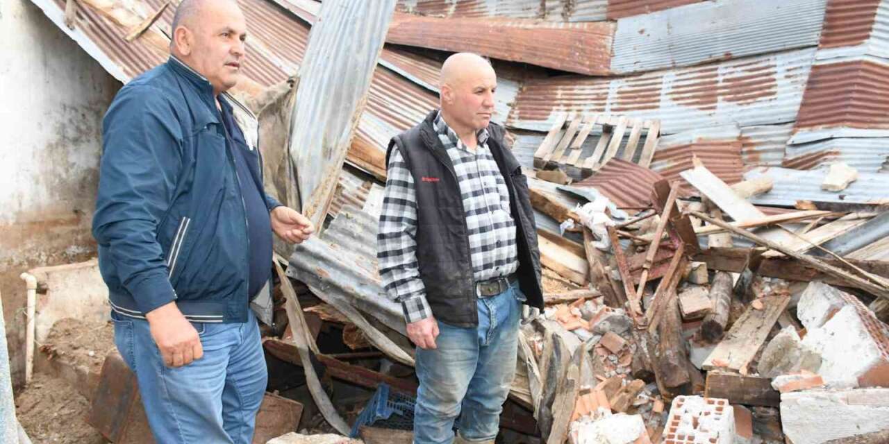 ahir-coktu,-hayvanlar-afad’in-yardimiyla-kurtarildi