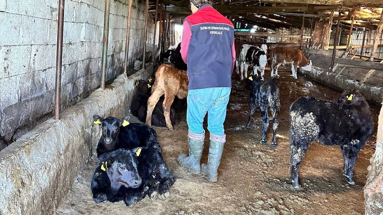 hayvancilik-projesi-meyvesini-veriyor