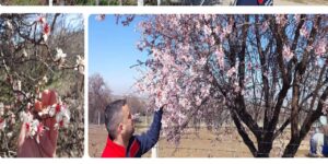 kirikkale’de-ciftciye-“don”-mesaisi:-teknik-ekipler-sahaya-indi