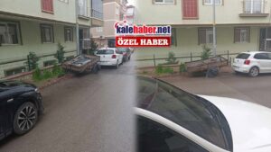 sokakta-birakilan-romork-tepki-topladi