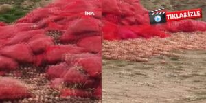 tonlarca-sogani-yol-kenarina-doktuler