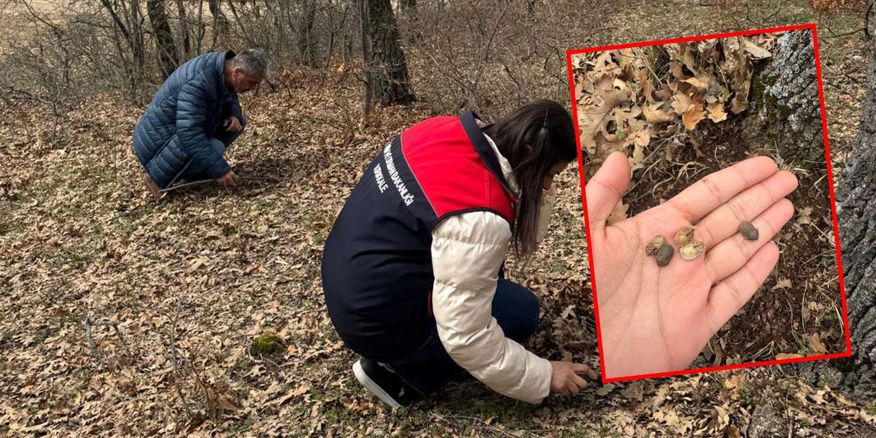 kirikkale’de-sune-alarmi:-ciftcinin-bas-dusmani