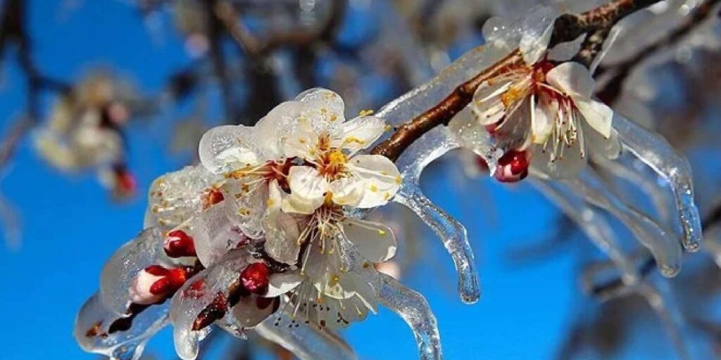 kirikkale’de-ciftciye-kotu-haber:-zirai-don-kapida!