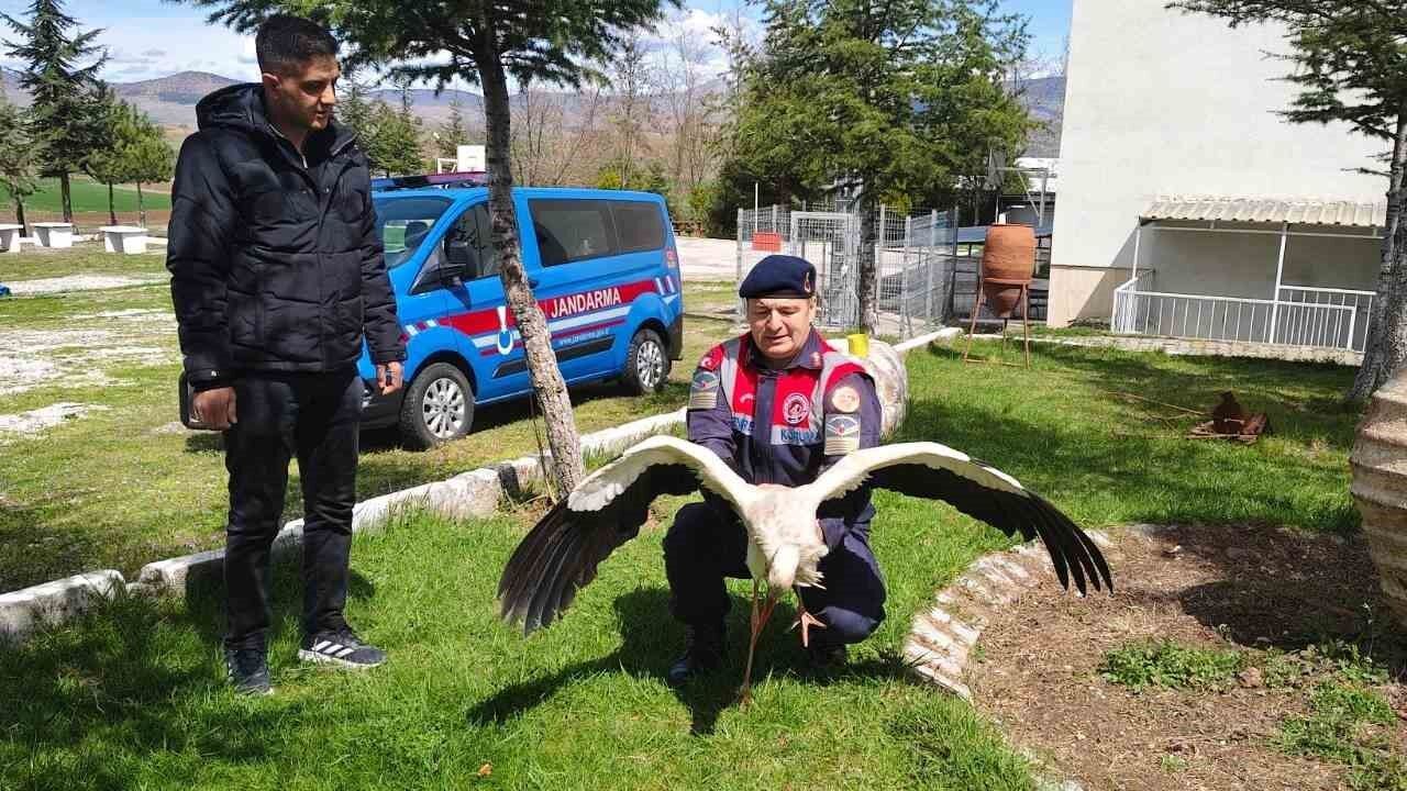 hasta-leylek-koruma-altina-alindi