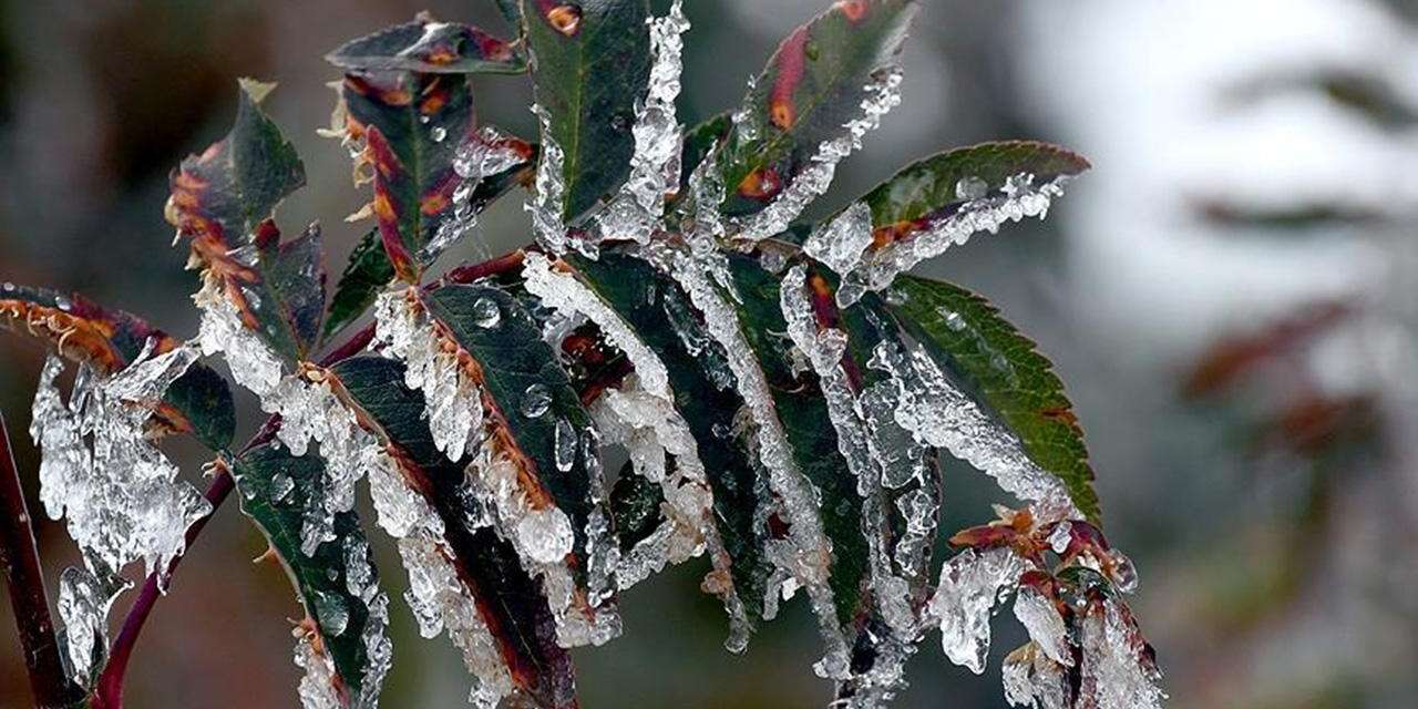 zirai-dona-karsi-ureticilere-kritik-cagri