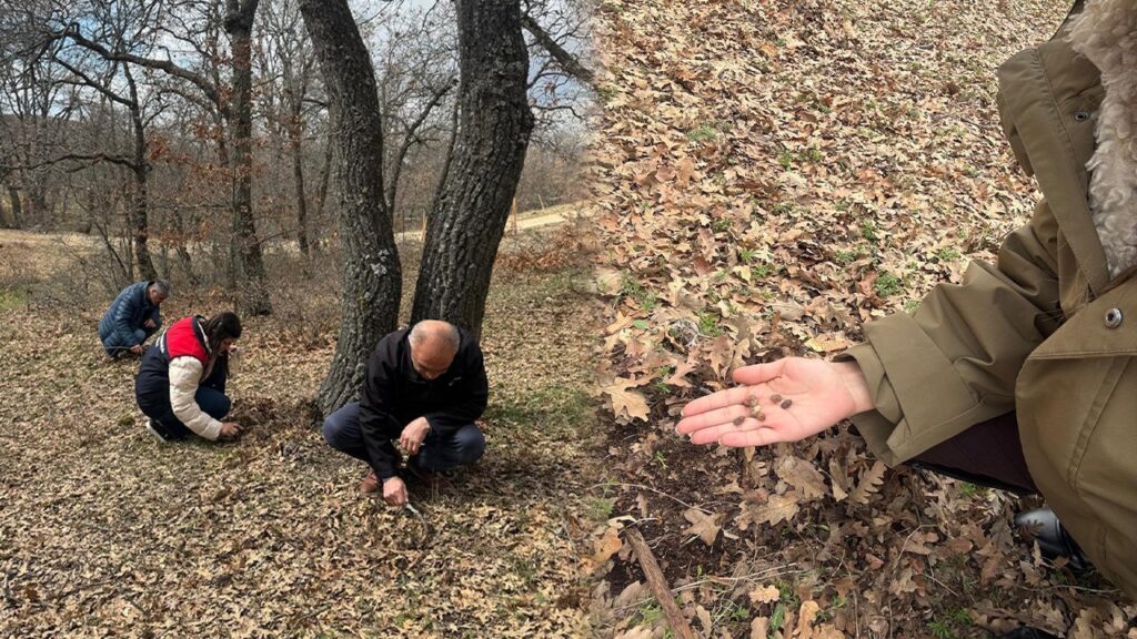 suneyle-mucadelede-kritik-kontroller