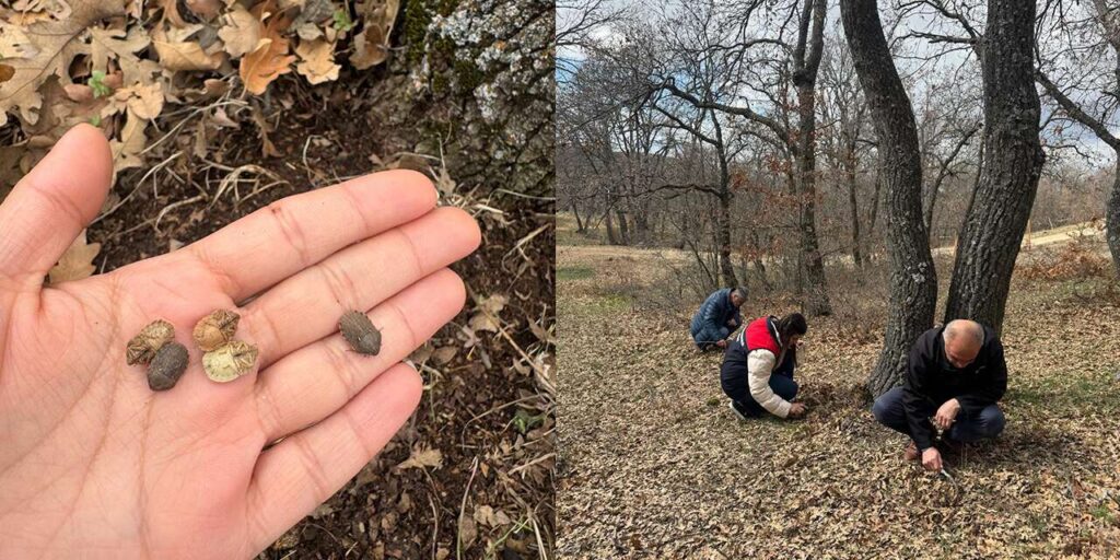 sune-ile-mucadelede-kislak-kontrolleri-suruyor