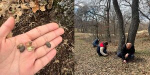 sune-ile-mucadelede-kislak-kontrolleri-suruyor