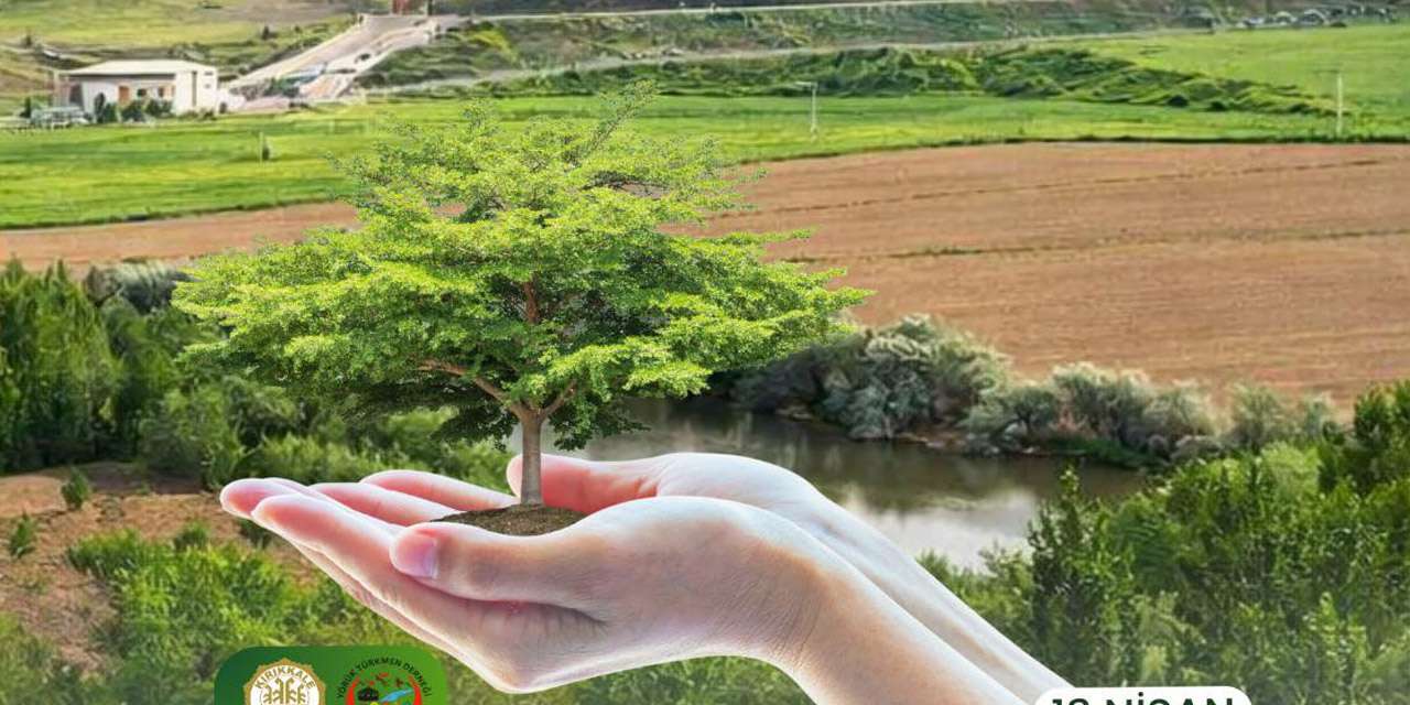 kirikkale’de-gelecege-nefes:-beylik-cayiri’nda-dev-agaclandirma-seferberligi