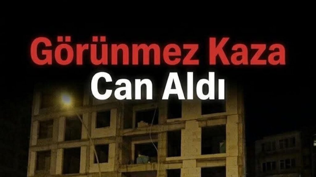 tuvalet-icin-girdi-canindan-oldu