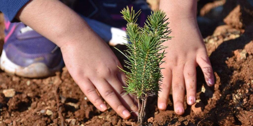 yoruk-turkmenleri-gelecek-icin-fidan-dikecek