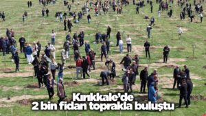 Kırıkkale’de 2 bin fidan toprakla buluştu