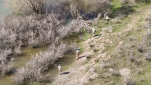 Sır gibi kayıp: 5 gündür iz yok