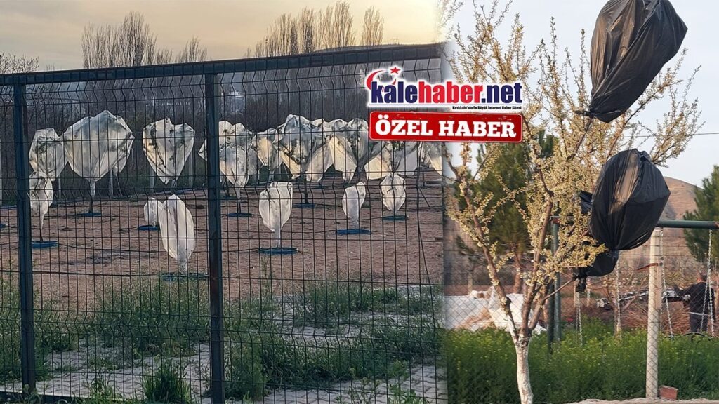 ureticiler-soguga-karsi-teyakkuzda