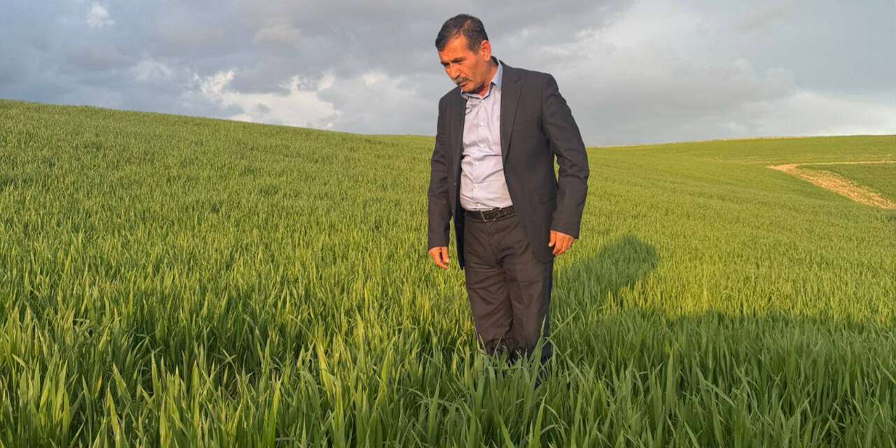 yagislar-ciftciye-umut-oldu:-bereketli-bir-sezon-bekliyor