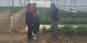 sera-ureticilerine-yerinde-egitim-ve-inceleme