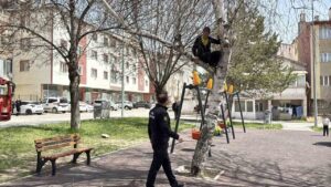 topu-almak-icin-ciktigi-agactan-inemeyen-cocuk-itfaiyeden-yardim-istedi