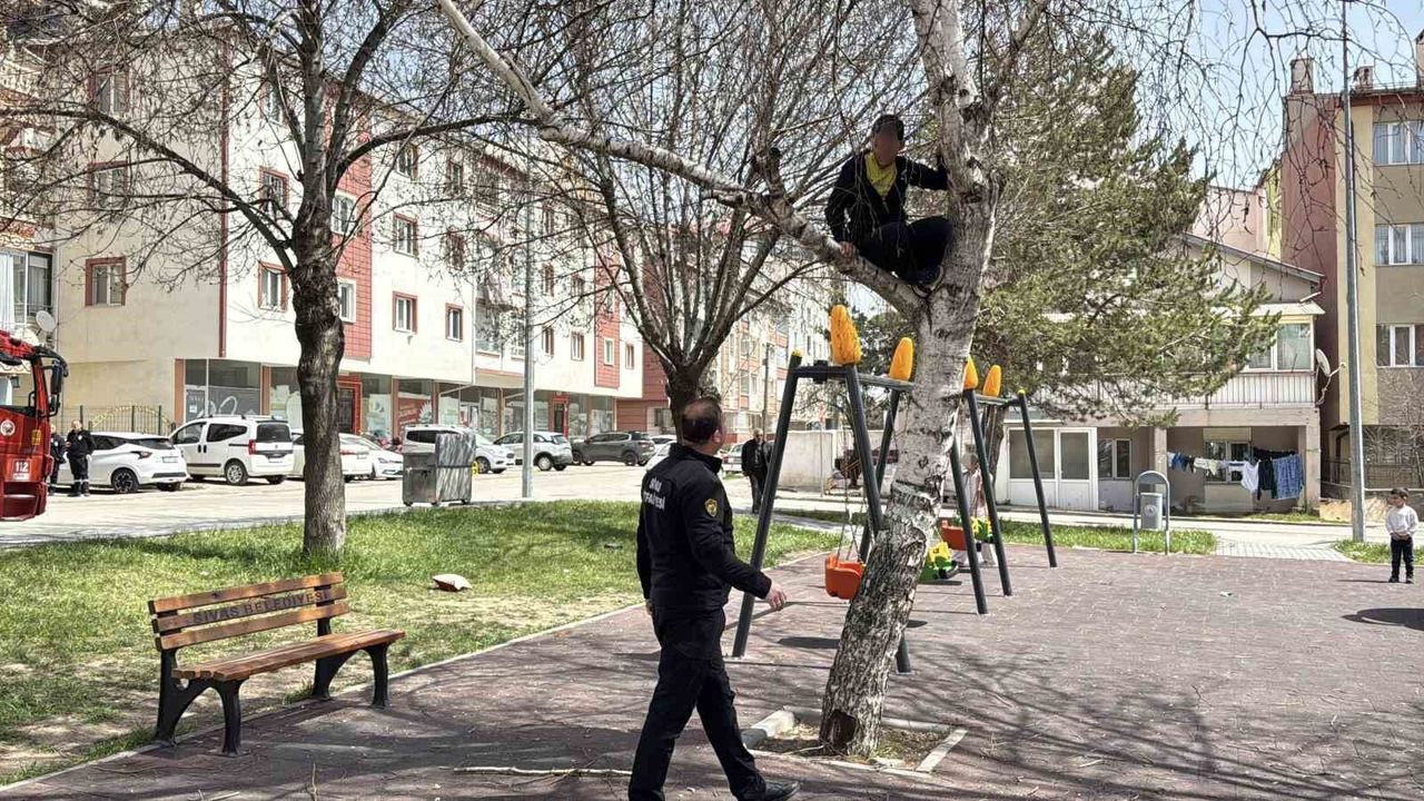 topu-almak-icin-ciktigi-agactan-inemeyen-cocuk-itfaiyeden-yardim-istedi