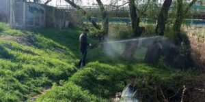 yahsihan’da-sazlik-alanlarda-ilaclama-calismalari-suruyor