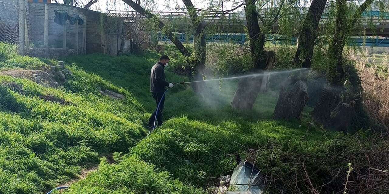 yahsihan’da-sazlik-alanlarda-ilaclama-calismalari-suruyor