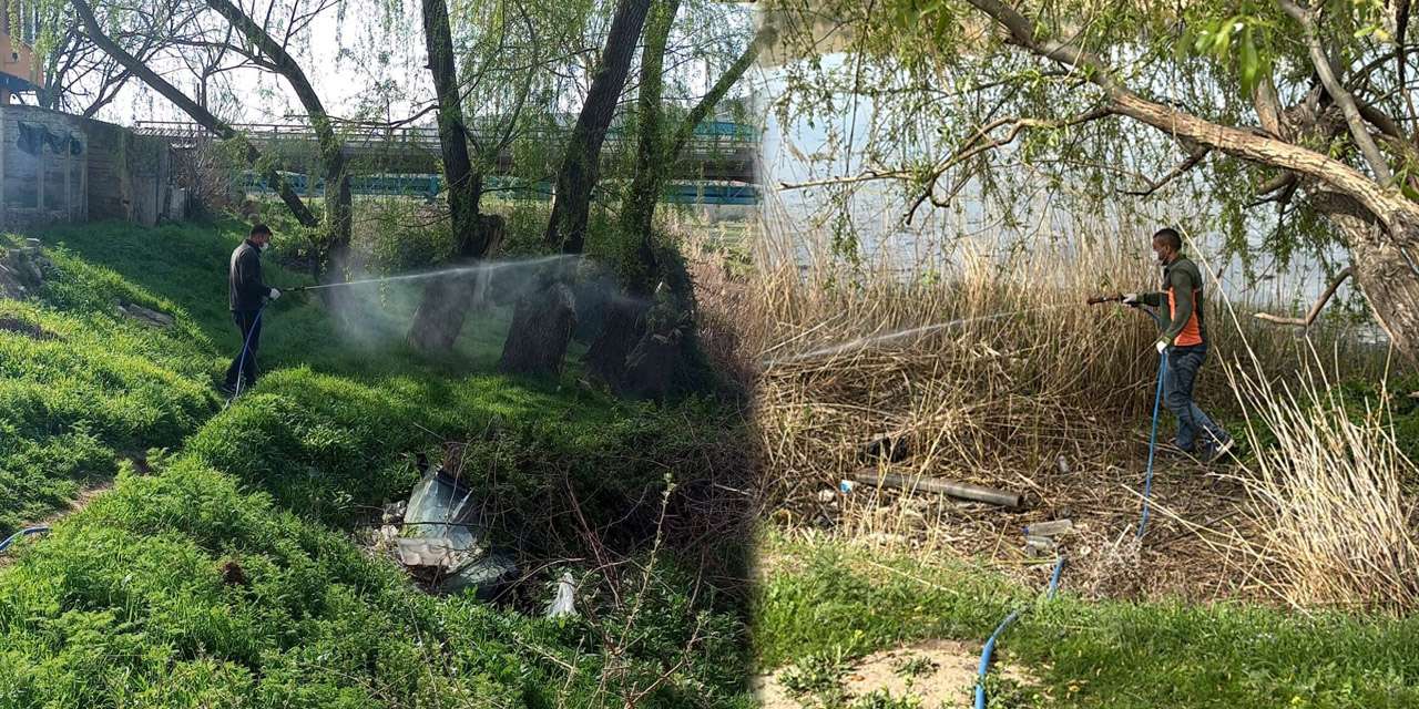 yahsihan-yaz-kabusuna-dur-dedi:-ilaclama-mesaisi-araliksiz-suruyor!