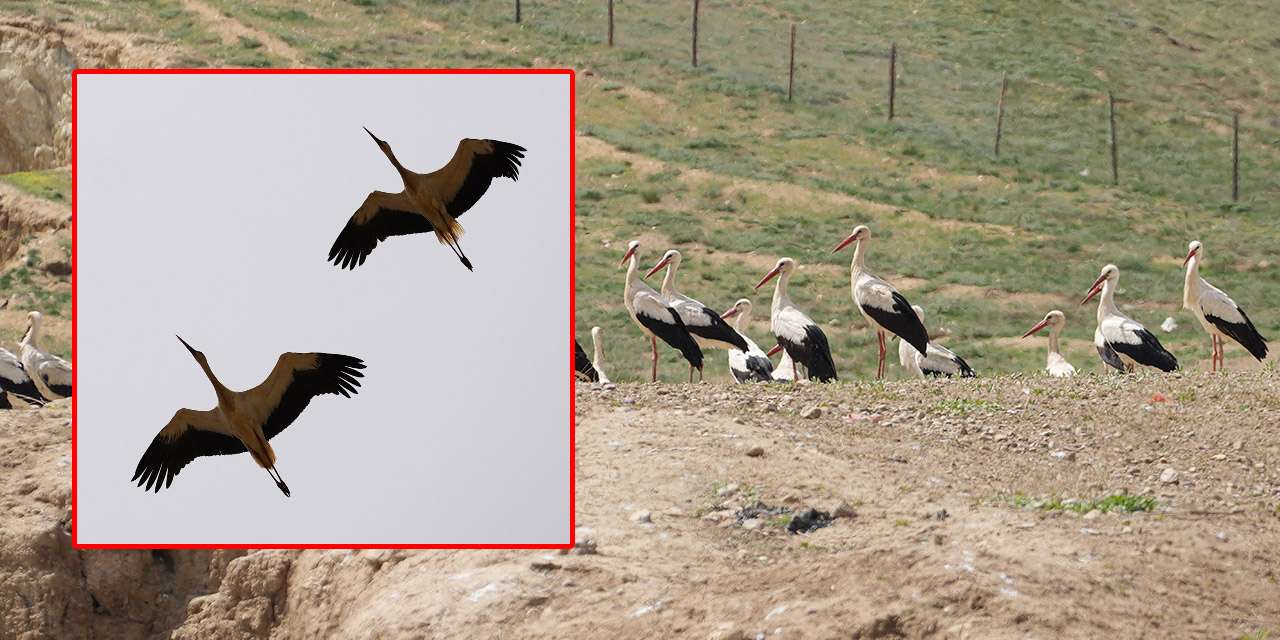 kirikkale-semalarinda-gorsel-solen:-bu-bulusmayi-daha-once-gormediniz