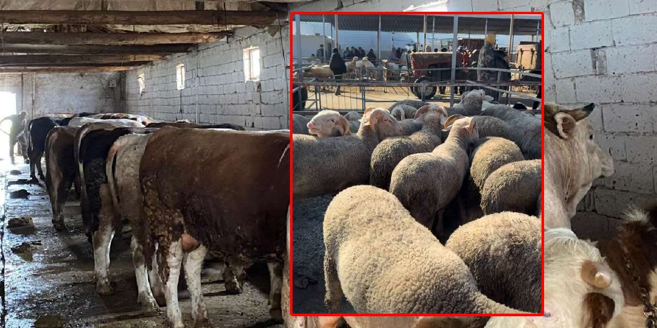 kirikkale’de-kurban-alacaklar-dikkat:-sahte-hisse-ve-iban-oyununa-gelmeyin!