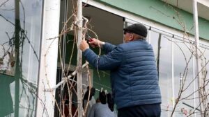 gecen-yil-don-vurmustu,-uzum-ureticisi-bu-yil-umutlu