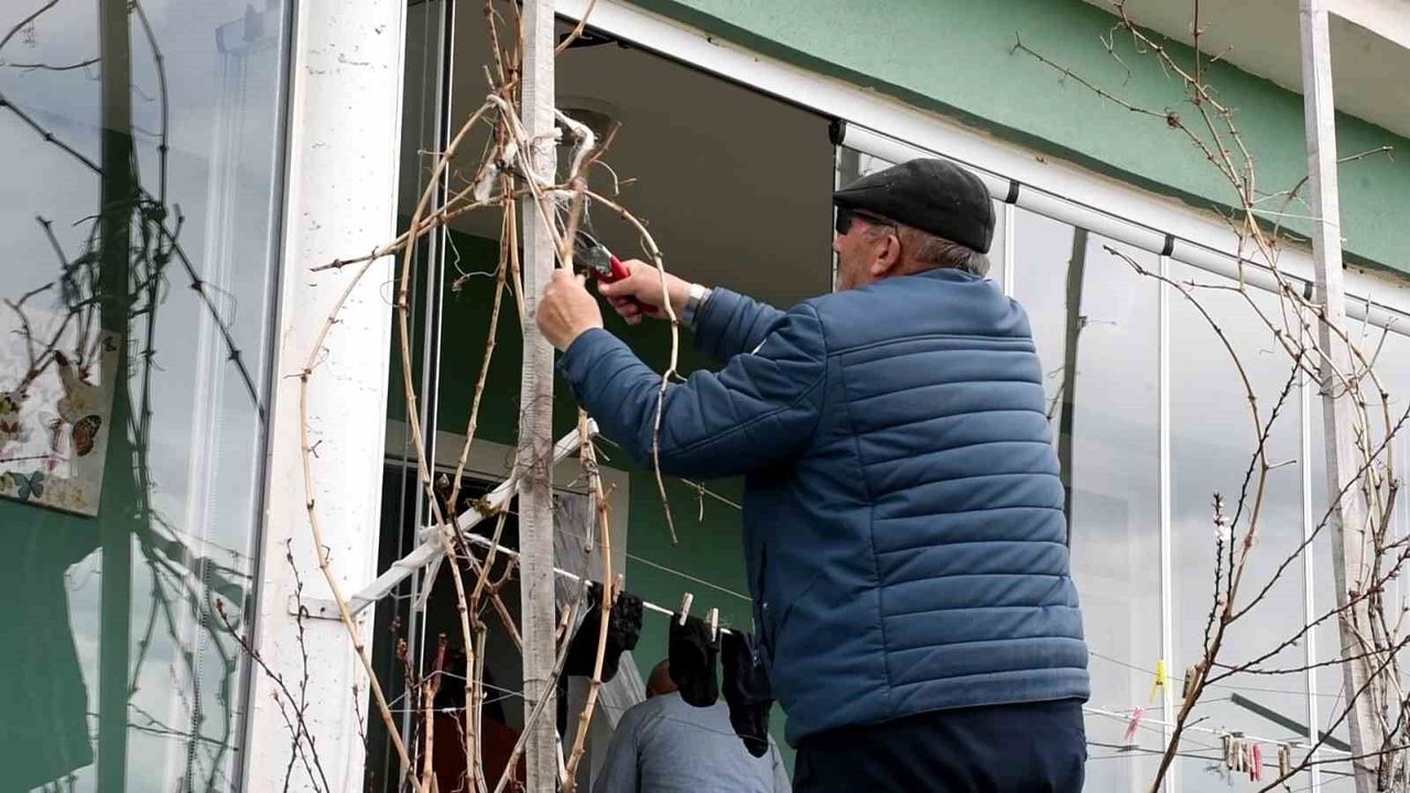 gecen-yil-don-vurmustu,-uzum-ureticisi-bu-yil-umutlu